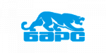 Барс